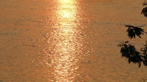 SFF Sunset at Ping river Kamphaeng Phet 12102017 010 MVI 3575 Stock Footage 323512063