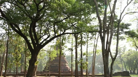 SFF Wat Phra Borommathat Kamphaeng Phet 12102017 010 MVI 3709 Stock Footage 325527247