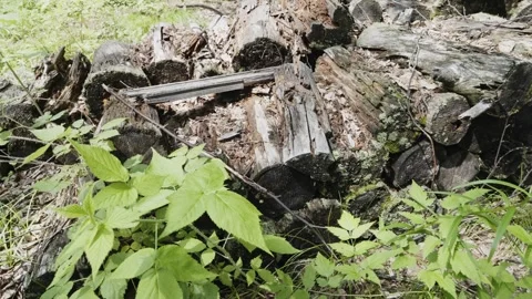 SFirewood covered with moss Stockbeeldmateriaal 285543004
