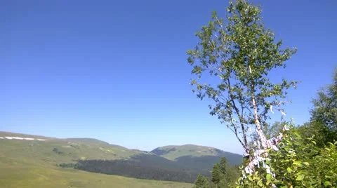 SFT 067 Stock Footage 11687920