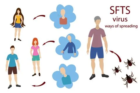 SFTS virus and humanity. Vector illustration. Flat style. Medical subject. Stock Illustration