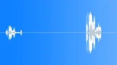 SFX - Rooster that Screams - 1 - EARSound Effect