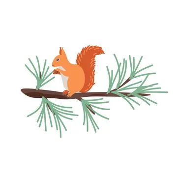 Sguirrel on the branch Stock Illustration
