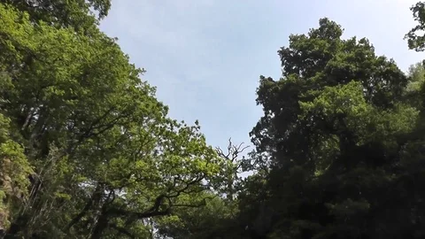 Sgwd yr Eira waterfall (without people) in summer Stock Footage 92576279
