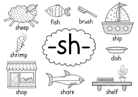 Sh digraph spelling rule black and white educational poster for kids Stock Illustration