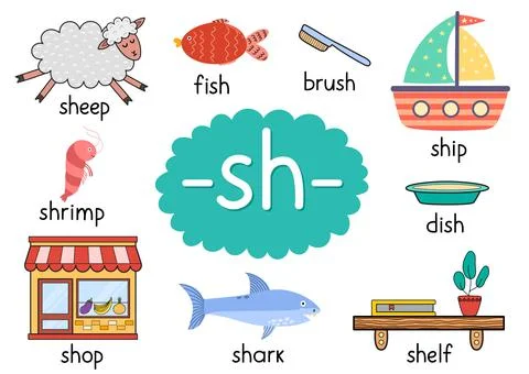 Sh digraph with words educational poster for kids. Learning phonics for school Stock Illustration