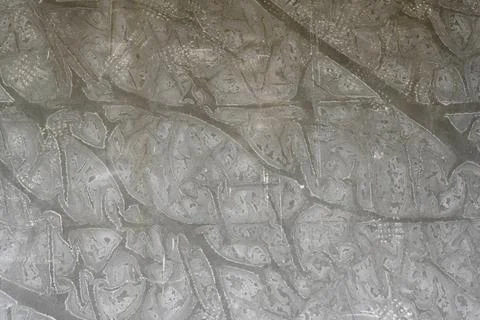 Sh7116 库存照片
