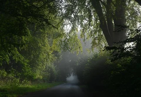 Sh8431 Foto stock