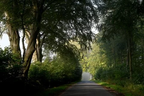 Sh8436 Foto stock