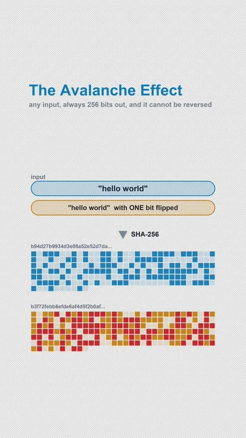 SHA-256 Avalanche Effect Labeled Cryptography Diagram 4K Vertical 9x16 Light Vídeo Stock 339645480