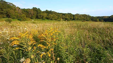 Shabbona Lake State Park 動画素材 24494426