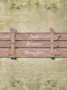 Shabby Chic Background with Letters Quote Illustrazione stock