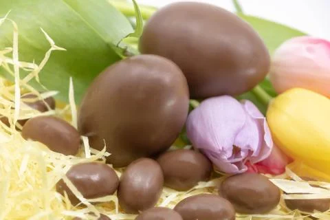 Shabby chic Easter with chocolate eggs and pastel tulips Stock Photos