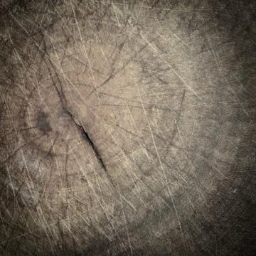 Shabby cut tree trunk texture Stock Photos