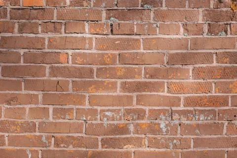 Shabby wall Stock Photos