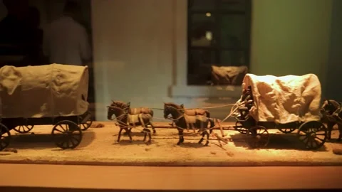 Shabo Museum Stock Footage 188800639