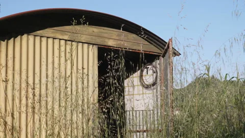 Shack 3 Stock Footage 311642118