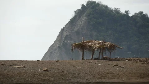 Shack on beach tight Stock Footage 126791004