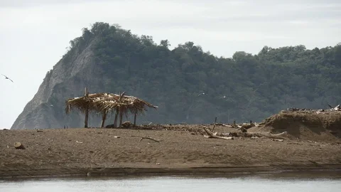 Shack on beach wide Stock Footage 126791035