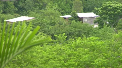 Shack in the Mountains of Negril Stock Footage 22158009