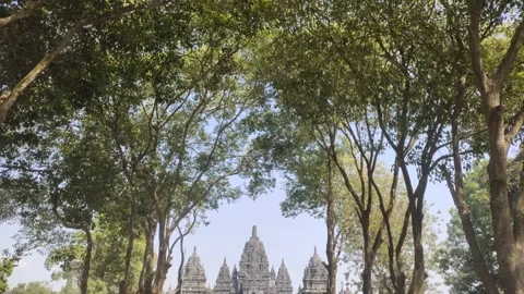 The Shade and Freshness of The Trees, with Candi Sewu in The Background. Stock Footage 341995551