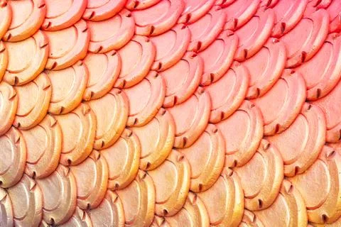 Shade background Stock Photos