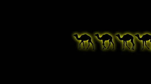 SHADE OF CAMEL CARAVAN with  glow fx Video stock 153596809