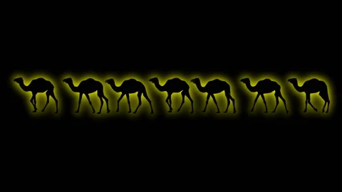 SHADE OF CAMEL CARAVAN with  glow fx Video stock 153657698