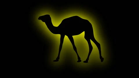 SHADE OF CAMEL with  glow fx Stock Footage 153594907