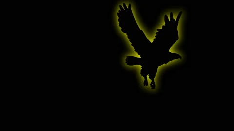 SHADE OF EAGLE with  glow fx Stock Footage 153596003