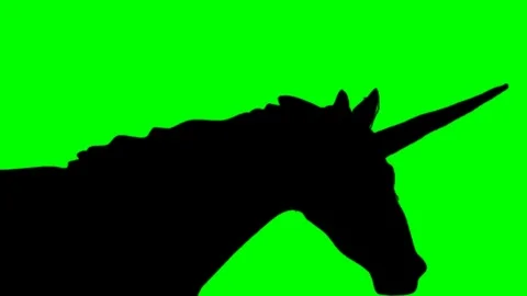 SHADE OF GALLOPING UNICORN  Video stock 76803460