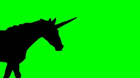 SHADE OF GALLOPING UNICORN Video stock 76803615