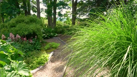 Shade garden and pathway Stock Footage 157099162