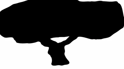 A shade of growing tree Stock Footage 953817