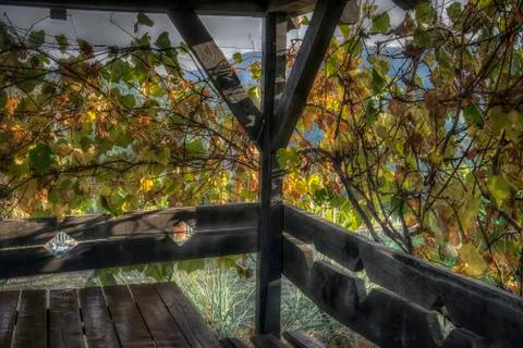 In the Shade Stock Photos