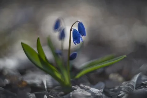 In the shade Stock Photos