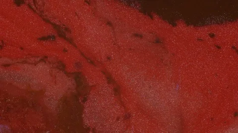 Shade of red: Carmine, Ruby, Dark red, Maroon colors Stock Footage 120434263