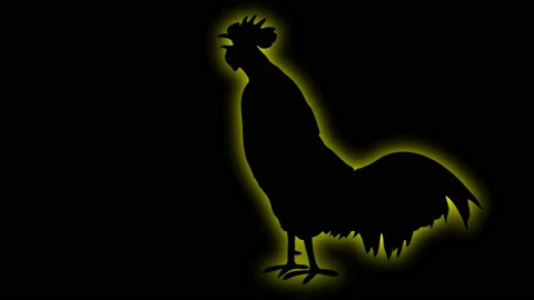 Shade of Rooster With Glow fx Stock Footage 153917991