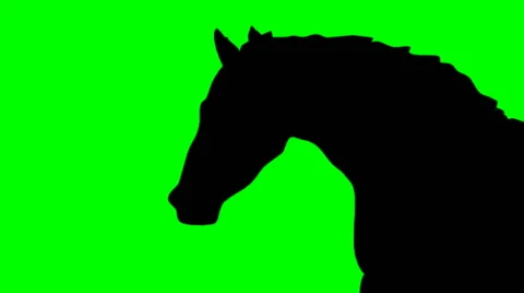 SHADE OF RUNNING HORSE Video stock 59663488