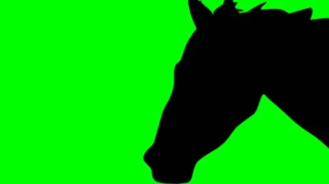 SHADE OF RUNNING HORSE Video stock 59664708