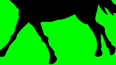 SHADE OF RUNNING HORSE Video stock 59664847