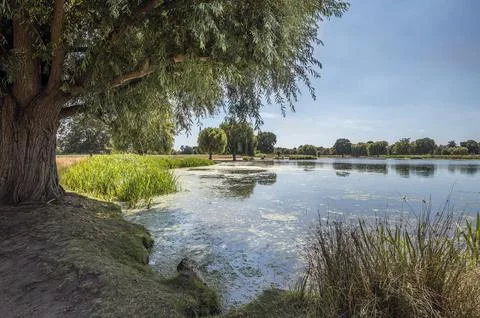 Shade from the sun Stock Photos