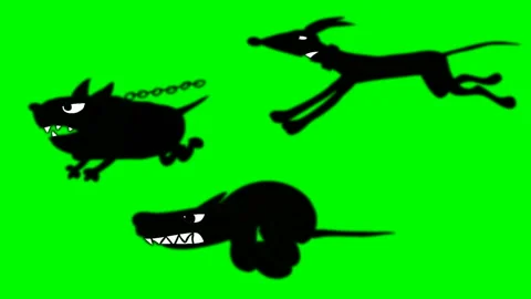 Shade of three dogs running Video stock 149486546