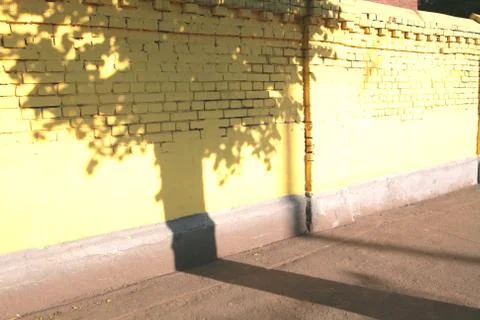 Shade of the tree Stock Photos