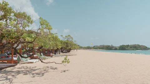Shade trees along quiet white beach , Nusa Dua, Bali 動画素材 339777357
