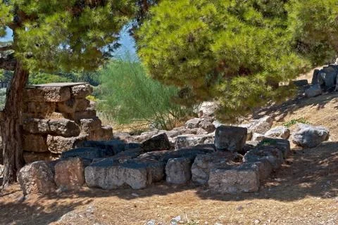 In the shade of trees. Stock Photos