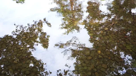 Shade of trees that reflect on the surface of the clear stream Stock Footage 67273439