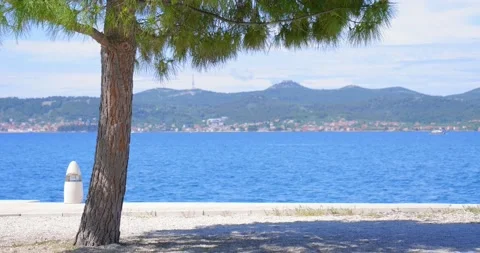 Shade under the tree on the seashore. Beautiful sea view. Stock Footage 133197252