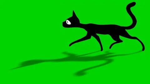 Shade Of Walking Black Cat Stock Footage 89349384