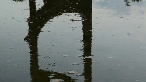 Shade on the water 스톡 동영상 25755226